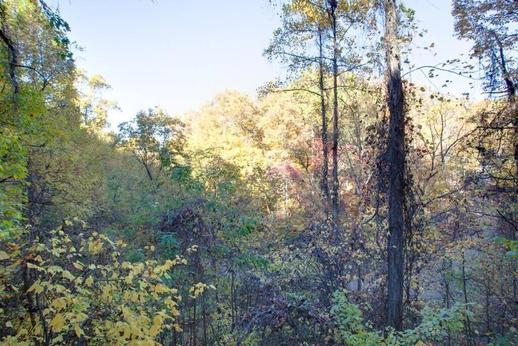 Brave Eagle Cabin Sevierville Rom bilde
